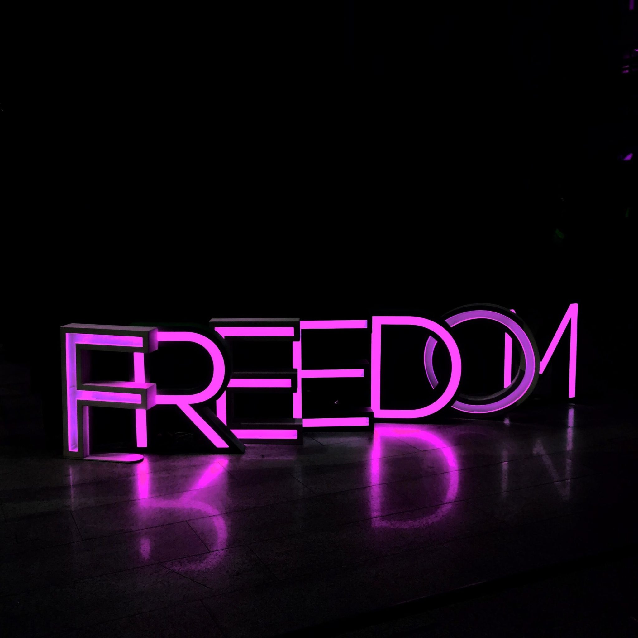 Freedom in Neonbuchstaben