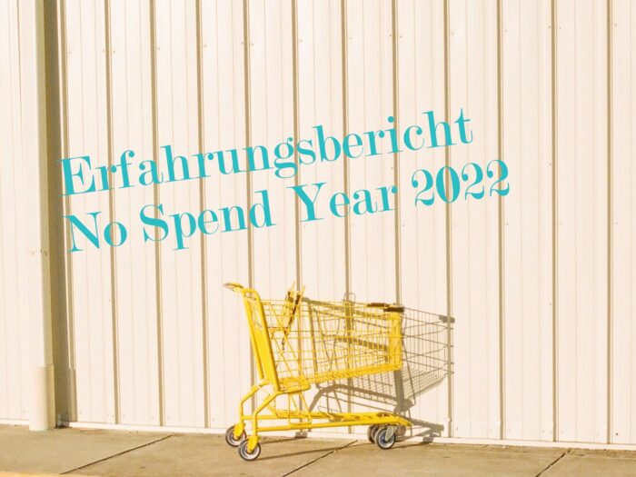 Erfahrungsbericht No Spend Year 2022